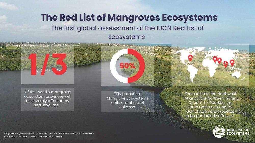 Image from iucnrle.org