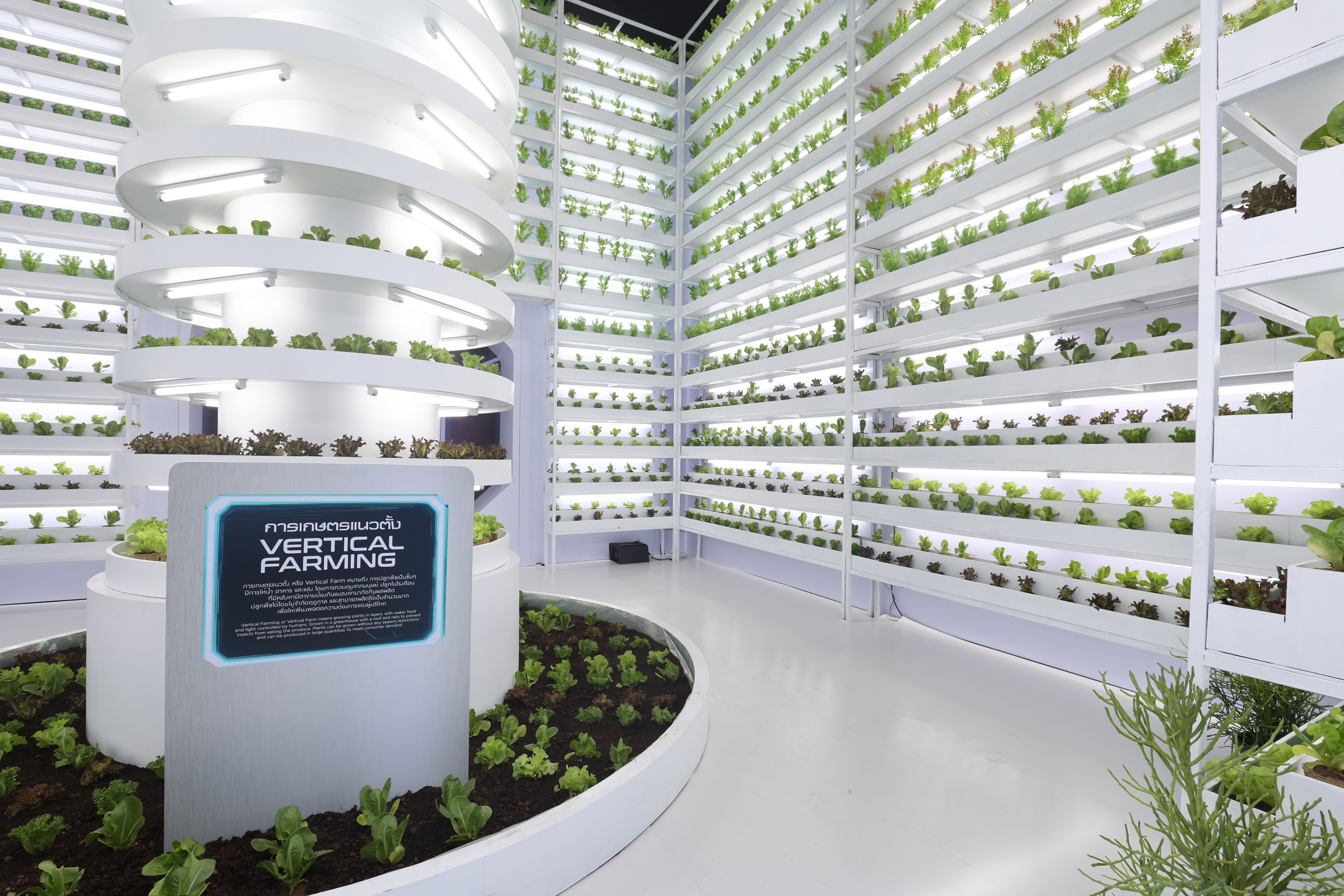 Savor the Future: Explore the SX FOOD FESTIVAL at Sustainability Expo 2024