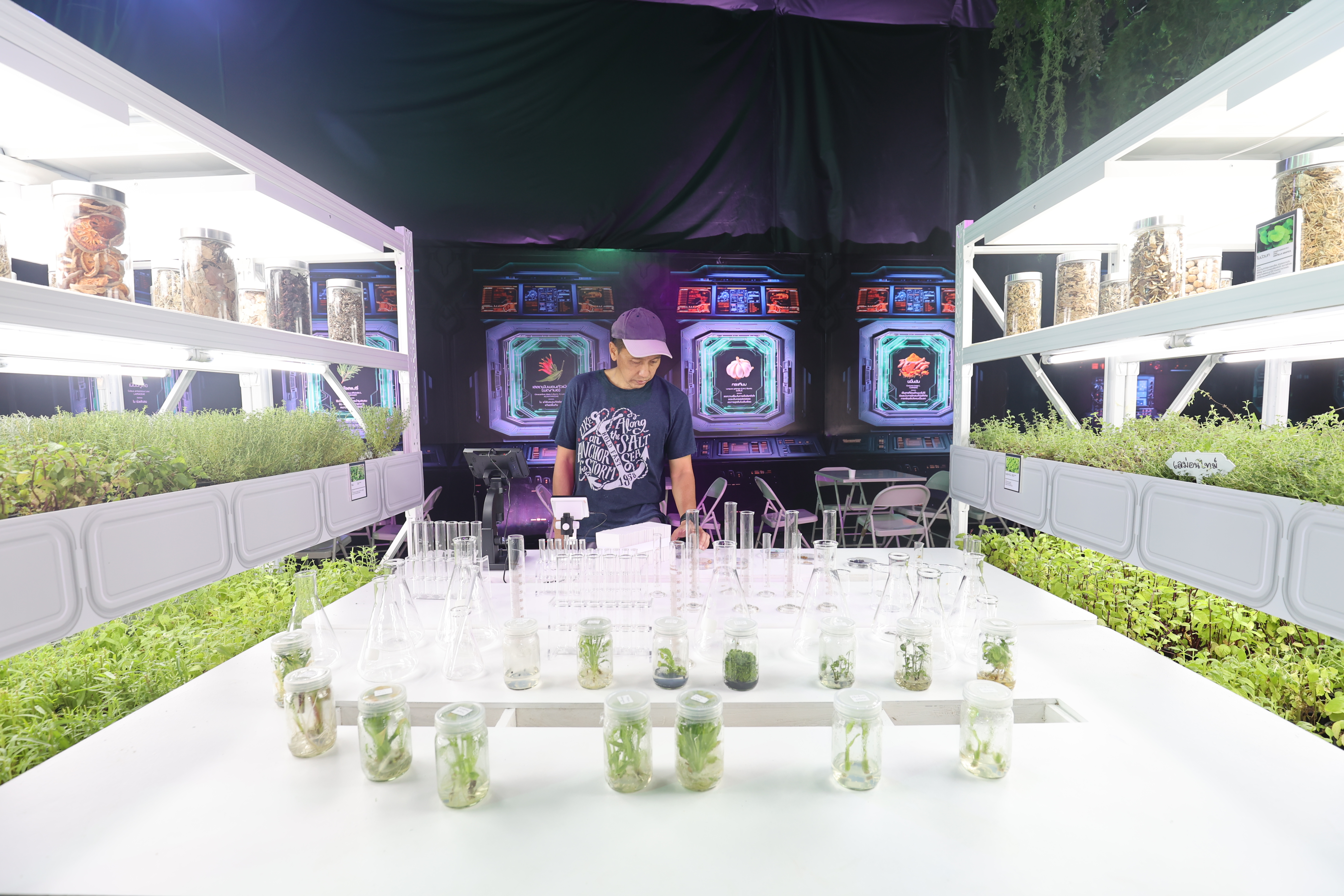 Savor the Future: Explore the SX FOOD FESTIVAL at Sustainability Expo 2024