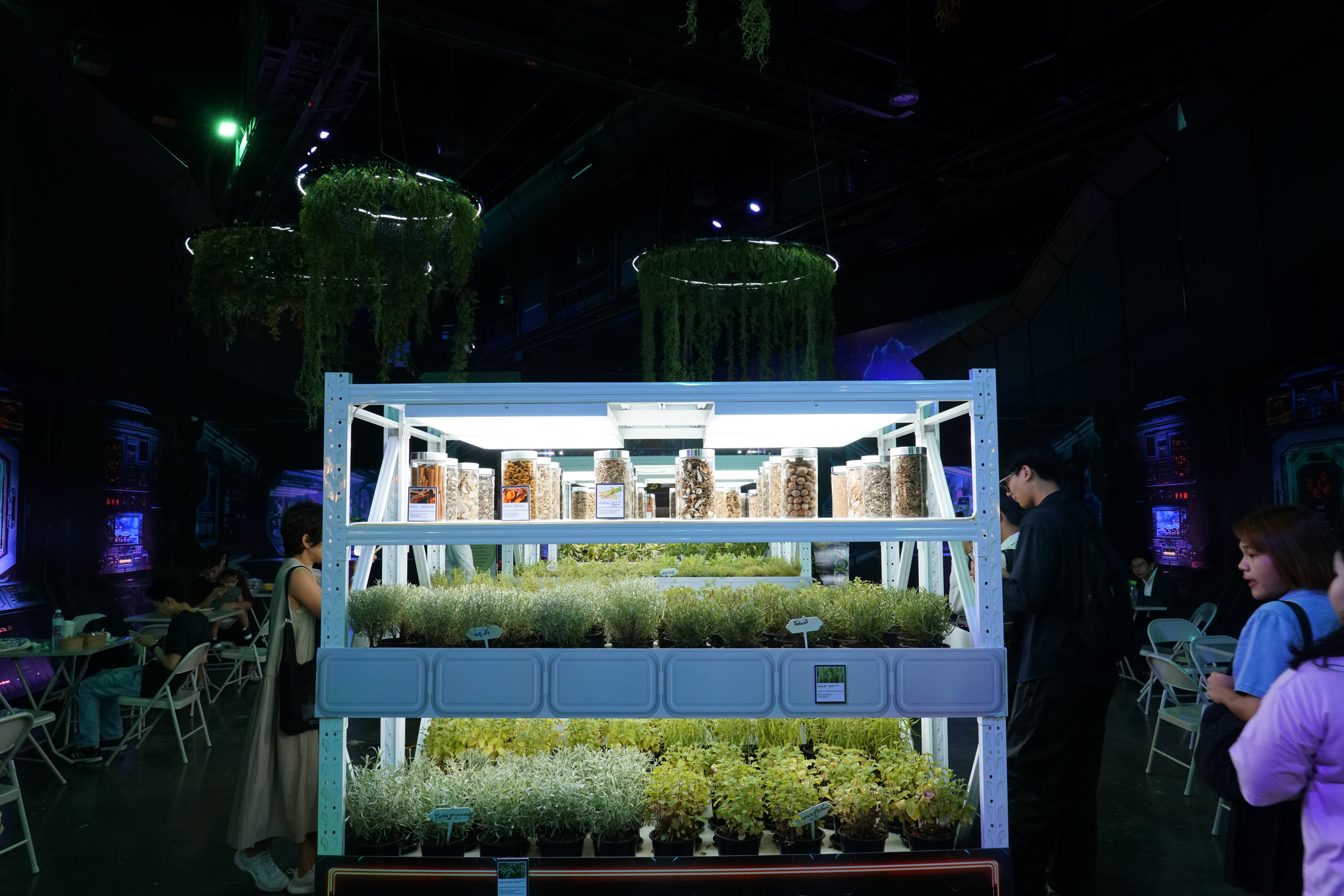 Savor the Future: Explore the SX FOOD FESTIVAL at Sustainability Expo 2024
