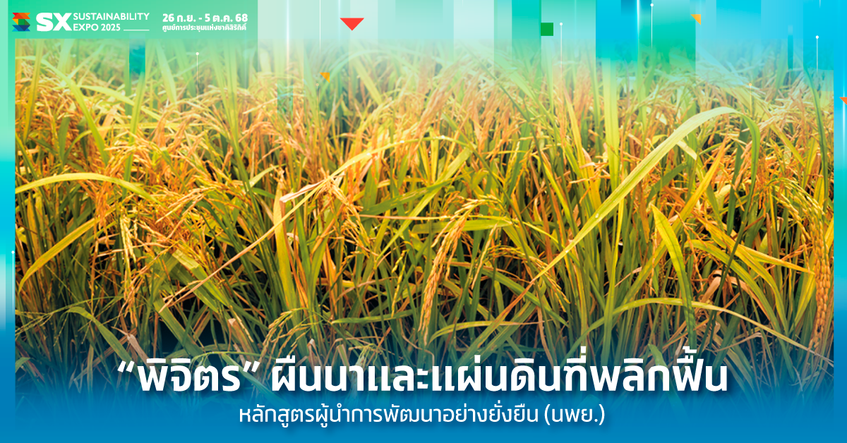 พิจิตร ผืนนาและแผ่นดินที่พลิกฟื้น หลักสูตรผู้นำการพัฒนาอย่างยั่งยืน (นพย.)